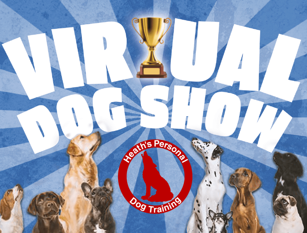HPDT Virtual Dog Show 1