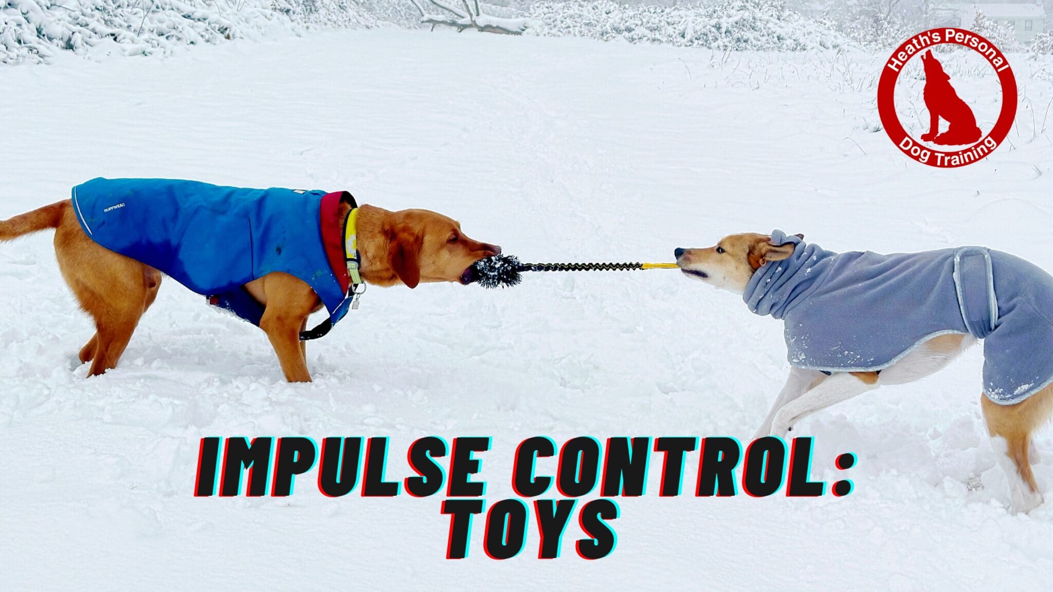 https://hpdt.co.uk/wp-content/uploads/2025/01/Copy-of-Impulse-Control-scaled.jpg